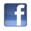 Facebook Mini icon