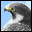 Falcon a Lightweight FEM Post Processor icon