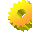 Flash Encryption Genius icon
