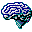 Flashcard Maker 3