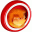 Foxonic Professional icon