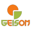 Geisom Professional icon