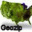 Geozip 1