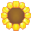 Girasol Editor icon