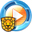 Golden Shield Video Encryptor 10.0 icon