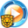 Golden Shield Video Encryptor 10.0 10