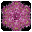 Got Flowers? Kaleidoscope icon