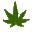 HD Cannabis Strain Directory 3.3