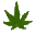 HD Cannabis Strain Directory icon