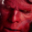 Hellboy screensaver 1