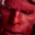 Hellboy screensaver icon