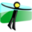Hugin icon
