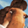 Iceage3 icon