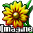 Imagine  1