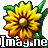 Imagine Portable  1