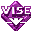 Installer VISE (formely VISE) icon