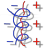 IPEC Solver icon