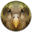 Kakapo icon