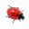 Ladybug on Desktop icon