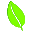 Leaf icon