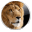 Lion Skin Pack icon