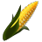 Maize Studio icon