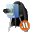 Makhaon Videograbber icon