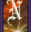 Master Numerology icon