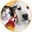MB Pet Numerology icon