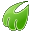 Midori icon