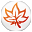 MindMaple Lite icon