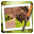 Moku Hanga icon