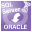 MsSqlToOracle icon