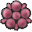 Mulberry icon