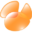 Navicat MySQL icon