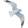 Neor Profile SQL icon
