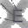 NeXtop 1