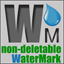 Non-deletableWatermark 1