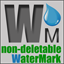 Non-deletableWatermark icon