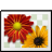 Odboso PhotoRetrieval icon
