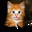 Only Kittens Life 1.2