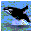 Orca icon