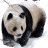 Panda Movie Maker 1.15