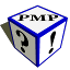 Paradigms Master Pro icon