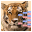 PedScope 2.1