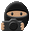 Photo Ninja icon