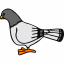 Pidgeon icon