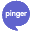 Pinger icon