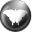 Qt-based Multimedia Player icon