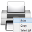 RC Print icon